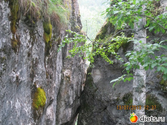 33 ����: ������ �����