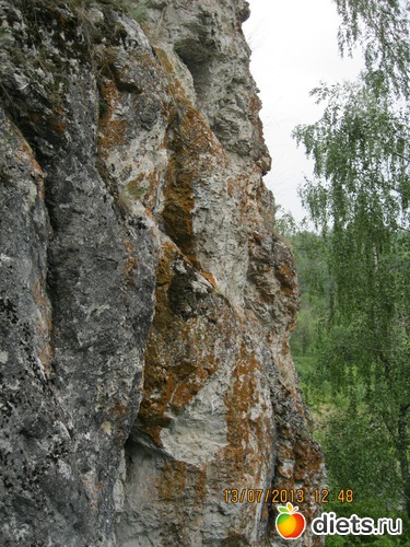 1 ����: ������ ����� �����������