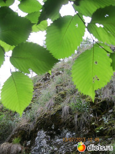 3 ����: ������ ����� �����������