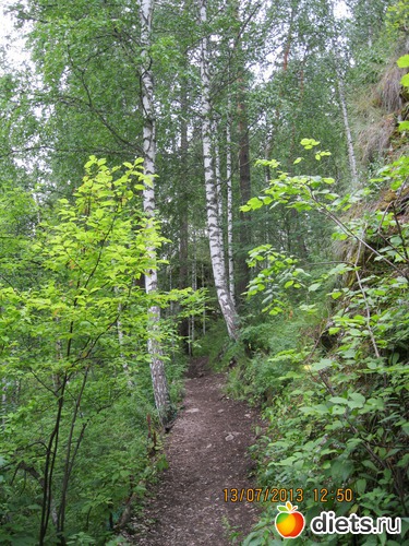 �� ����, ������: ������ ����� �����������