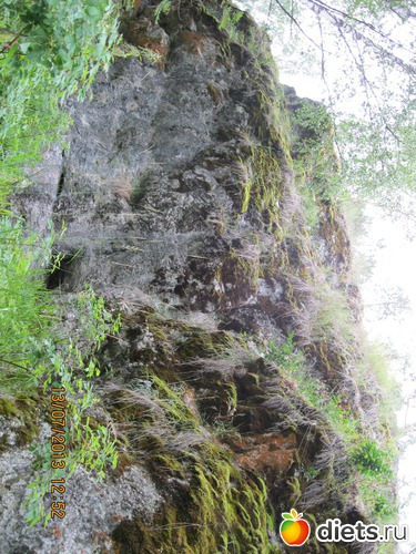 7 ����: ������ ����� �����������