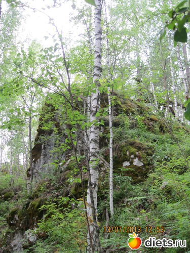 8 ����: ������ ����� �����������