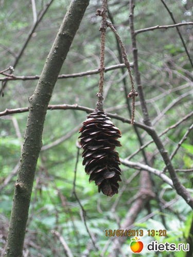 21 ����: ������ ����� �����������