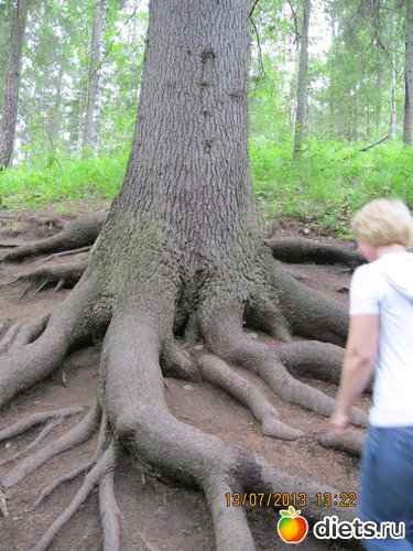 23 ����: ������ ����� �����������