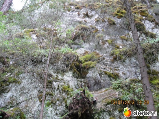 25 ����: ������ ����� �����������