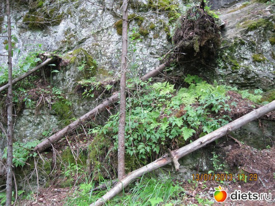 26 ����: ������ ����� �����������