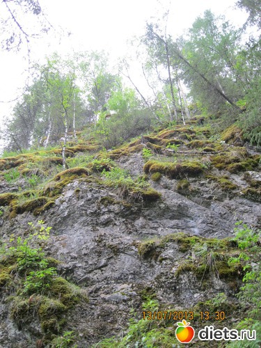 28 ����: ������ ����� �����������