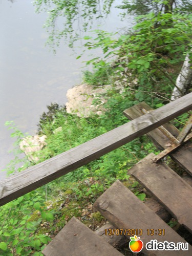 29 ����: ������ ����� �����������