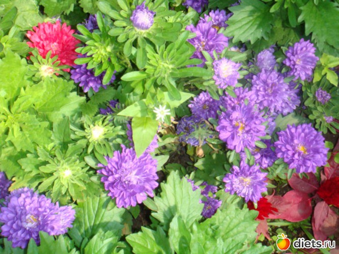 1 ����: ��� ���