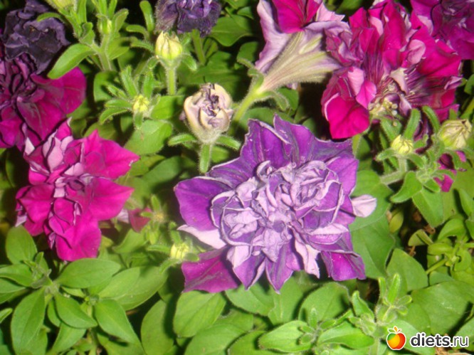 2 ����: ��� ���