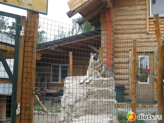 3 ����: ������ ����� ����������� ��� ����