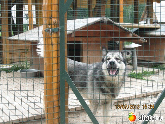 4 ����: ������ ����� ����������� ��� ����