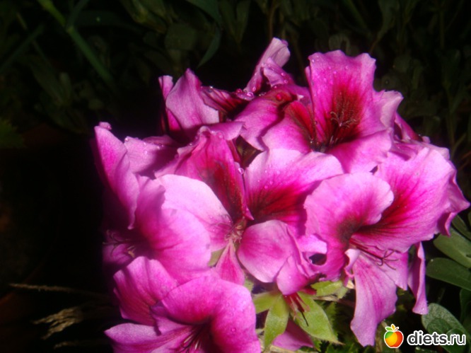 3 ����: ��� ���