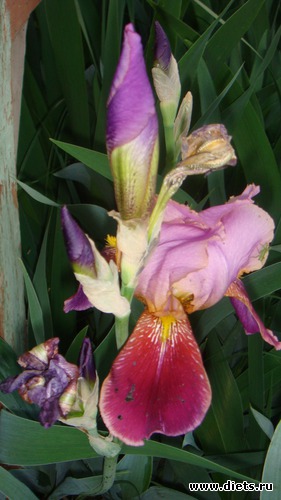 4 ����: ��� ���