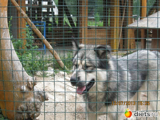 5 ����: ������ ����� ����������� ��� ����