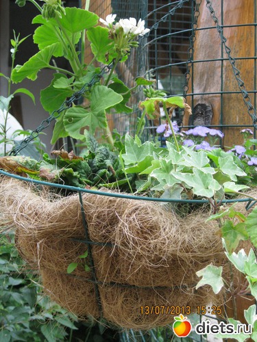 6 ����: ������ ����� ����������� ��� ����