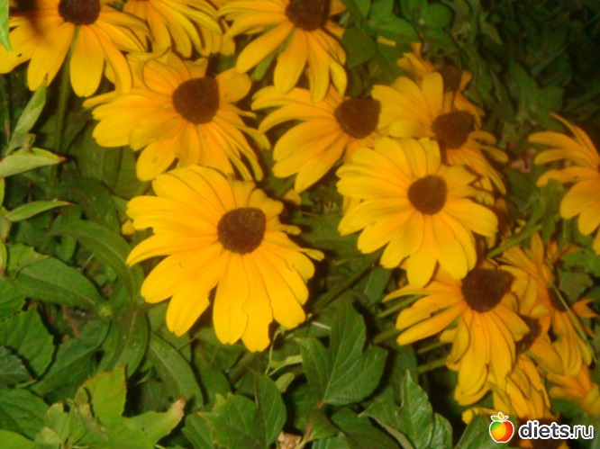 5 ����: ��� ���