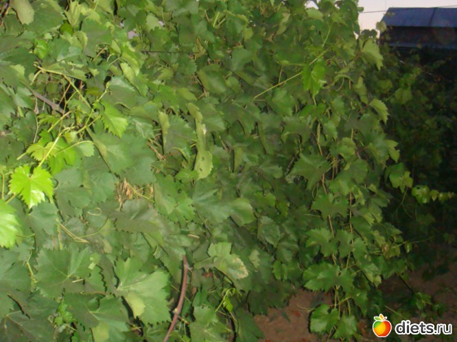 6 ����: ��� ���