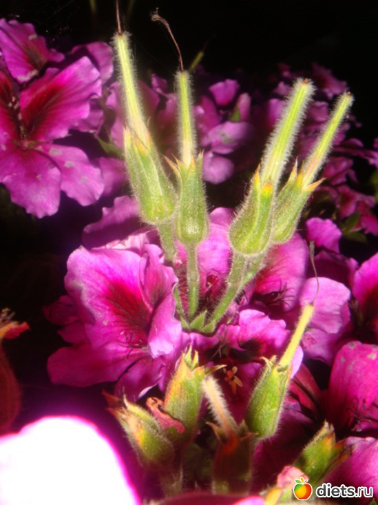 7 ����: ��� ���