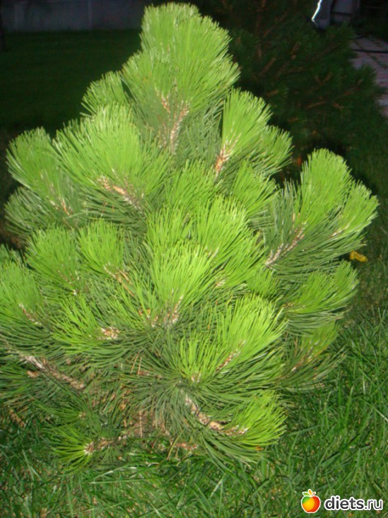 8 ����: ��� ���