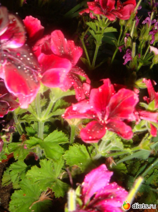 9 ����: ��� ���