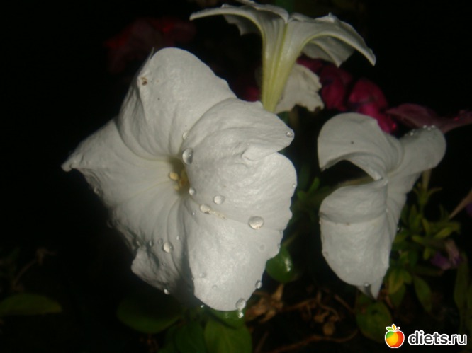 10 ����: ��� ���