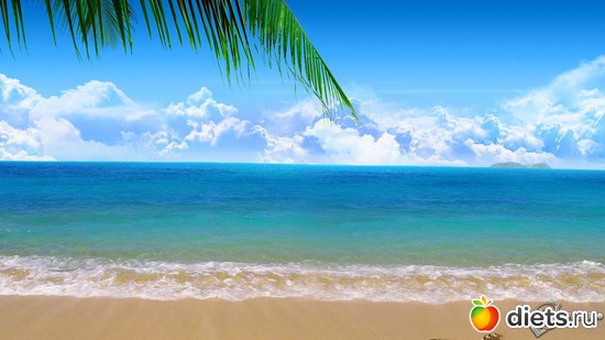 3 ����: ������