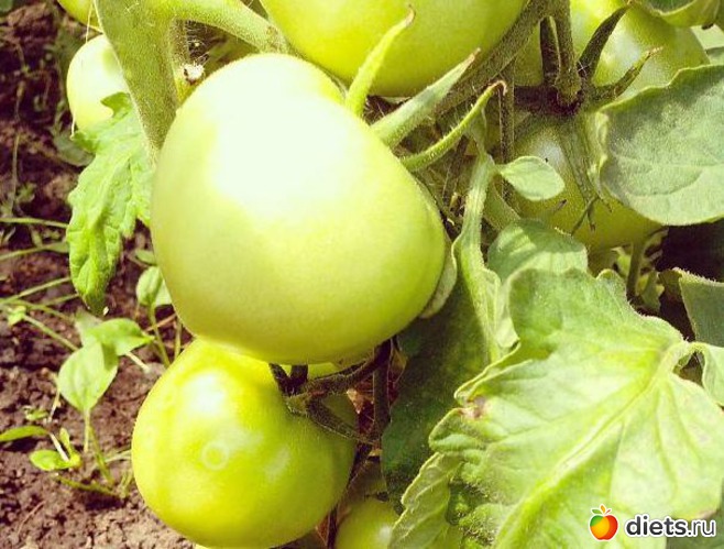 13 ����: ����, ����, ����