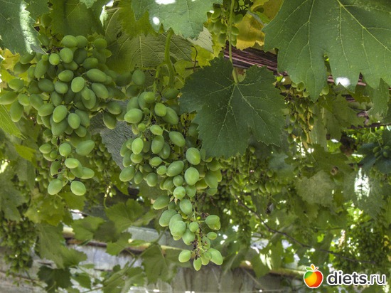 43 ����: �����-����-����� 2013 - 2015