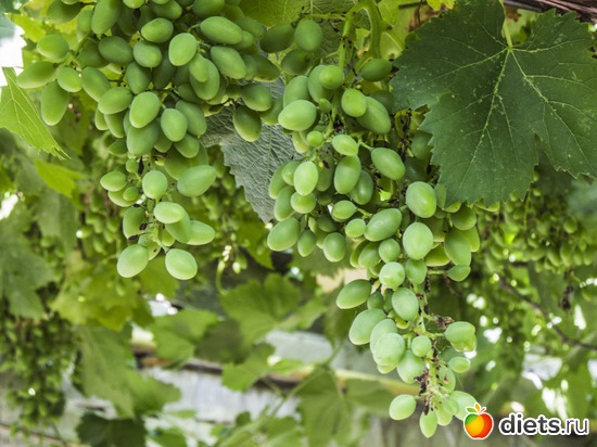 44 ����: �����-����-����� 2013 - 2015