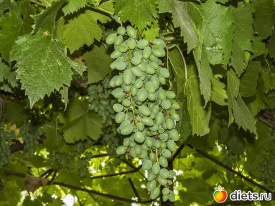 45 ����: �����-����-����� 2013 - 2015