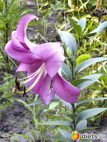 47 ����: �����-����-����� 2013 - 2015