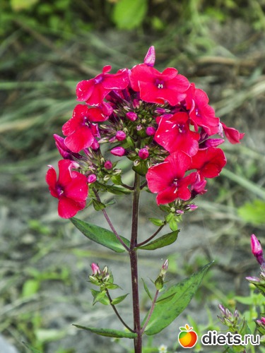 48 ����: �����-����-����� 2013 - 2015