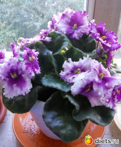 1 ����: ������