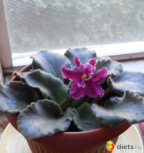 2 ����: ������