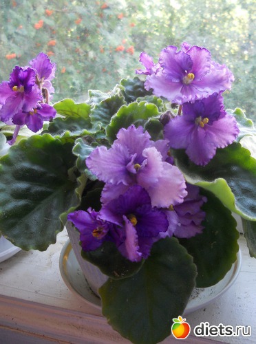 3 ����: ������