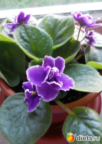 4 ����: ������