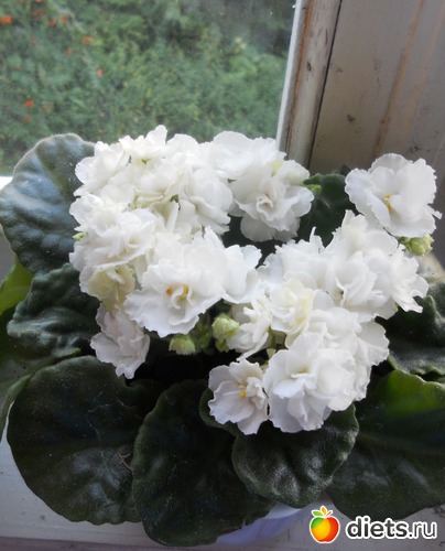 6 ����: ������