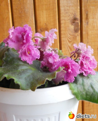 8 ����: ������