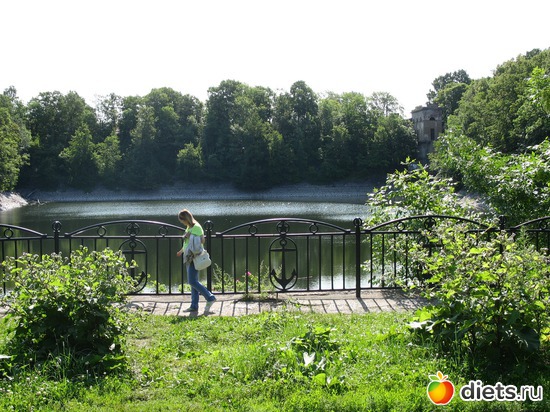 100 ����: ����� ���������