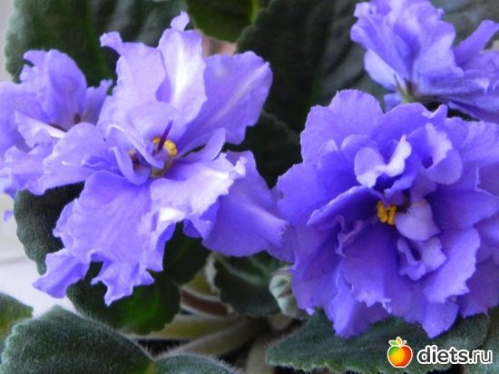 9 ����: ������