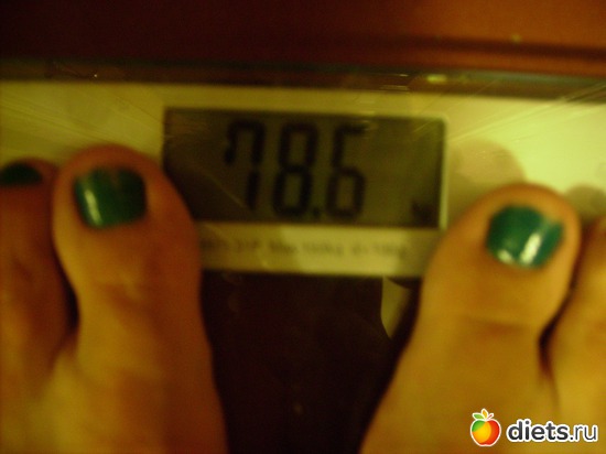 14 ����: ���