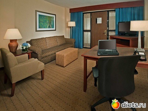 ��������-��������