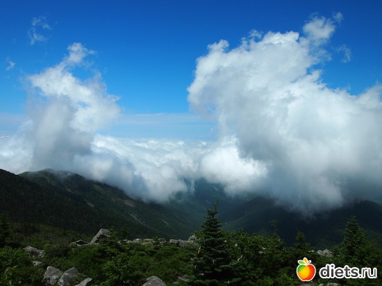 10 ����: �����. ������ �����������.