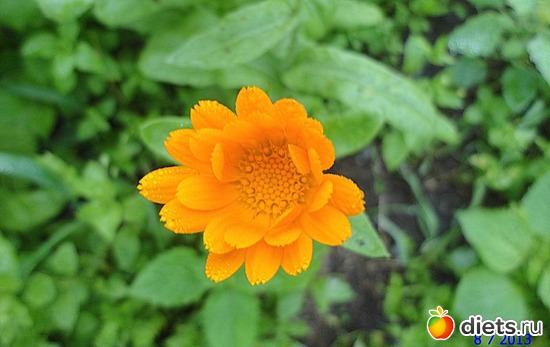 65 ����: ����� � ����-�������� ����!