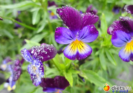 67 ����: ����� � ����-�������� ����!