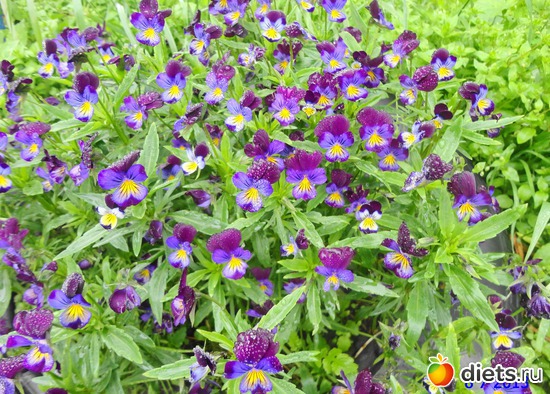 68 ����: ����� � ����-�������� ����!