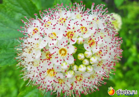 69 ����: ����� � ����-�������� ����!