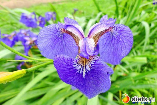 70 ����: ����� � ����-�������� ����!