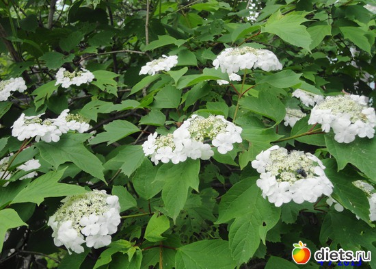 72 ����: ����� � ����-�������� ����!